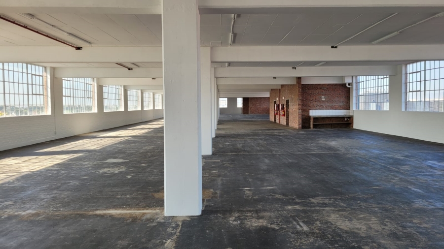 To Let commercial Property for Rent in Diep River Western Cape